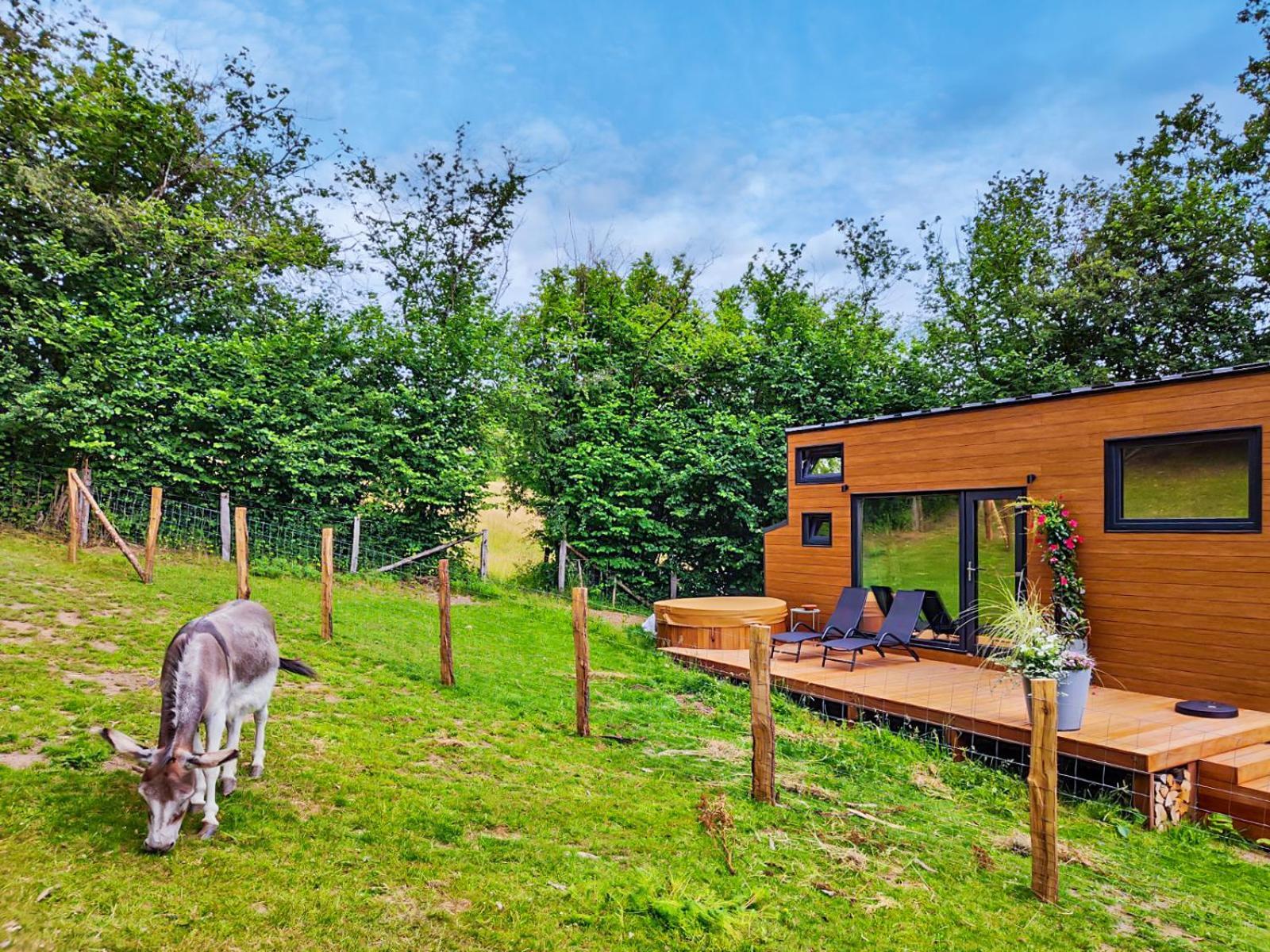 La Mini Maison Du Lama Libin Exteriör bild